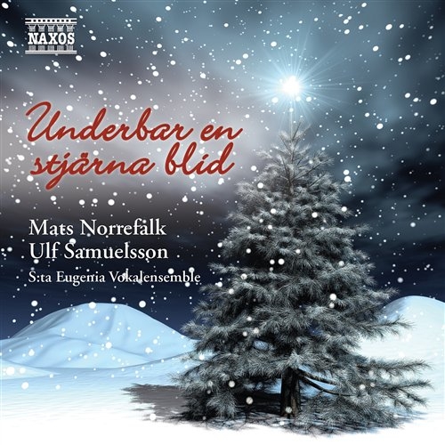 Various - Underbar En Stjärna Blid i gruppen VI TIPSAR / Julmusik på Vinyl & CD hos Bengans Skivbutik AB (539480)