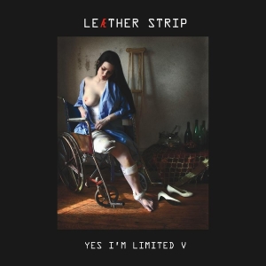 Leather Strip - Yes I'm Limited V 2 Cd Box i gruppen CD / Pop-Rock hos Bengans Skivbutik AB (539589)