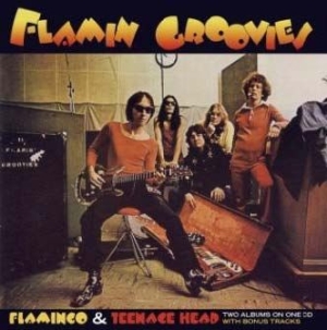 Flamin' Groovies - Flamingo/Teenage Head i gruppen CD / Rock hos Bengans Skivbutik AB (540051)