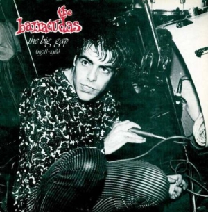 Barracudas - Big Gap  1978-1981 i gruppen CD / Pop-Rock hos Bengans Skivbutik AB (541778)