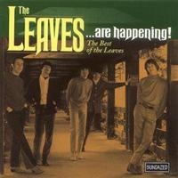 Leaves The - The Leaves...Are Happening! The Bes i gruppen VI TIPSAR / Klassiska lablar / Sundazed / Sundazed CD hos Bengans Skivbutik AB (543166)