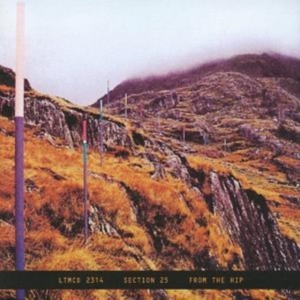 SECTION 25 - FROM THE HIP i gruppen CD / Pop hos Bengans Skivbutik AB (543381)