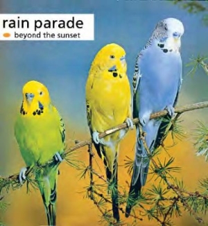 Rain Parade - Beyond The Sunset i gruppen CD / Rock hos Bengans Skivbutik AB (543484)