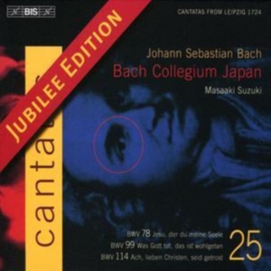 Bach Johann Sebastian - Cantatas Vol 25 i gruppen Externt_Lager / Naxoslager hos Bengans Skivbutik AB (548302)