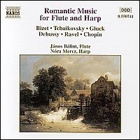Blandade Artister - Romantic Music For Flute And H i gruppen CD / Klassiskt hos Bengans Skivbutik AB (550079)