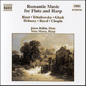 Various - Romantic Music For Flute And H i gruppen CD / Klassiskt hos Bengans Skivbutik AB (550079)