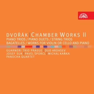 Dvorák Antonín - Chamber Works Ii (7 Cd) i gruppen CD / Klassiskt hos Bengans Skivbutik AB (5503078)