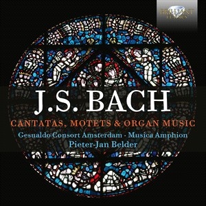 Bach Johann Sebastian - Cantatas, Motets & Organ Music (6Cd i gruppen CD / Klassiskt hos Bengans Skivbutik AB (5503882)