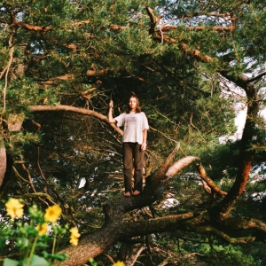 Packs - Melt The Honey i gruppen VINYL / Pop-Rock hos Bengans Skivbutik AB (5505906)