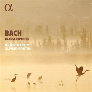 Bach Johann Sebastian - Transcriptions i gruppen Externt_Lager / Naxoslager hos Bengans Skivbutik AB (5506032)