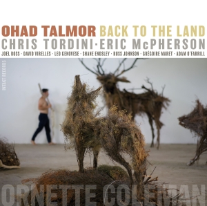 Ohad Talmor - Back To The Land i gruppen VI TIPSAR / Fredagsreleaser / Fredag den 27:e september 2024 hos Bengans Skivbutik AB (5506037)