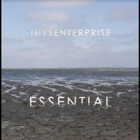 Thysenterprise - Essential i gruppen VINYL / Pop-Rock hos Bengans Skivbutik AB (5506064)