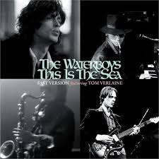 Waterboys - This Is The Sea -Black Fr- i gruppen ÖVRIGT / CRM - Irish Pop-Rock hos Bengans Skivbutik AB (5506376)