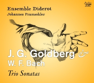 Ensemble Diderot / Johannes Pramsohler - J.G. Goldberg & W.F. Bach: Trio Sonatas i gruppen CD / Klassiskt hos Bengans Skivbutik AB (5506490)