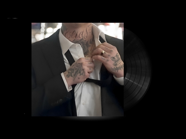 Douwe Bob - Where Did All The Cool Kids Go? i gruppen VINYL / Toppsäljare hos Bengans Skivbutik AB (5506579)