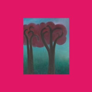 Ethier André - Croak In The Weeds i gruppen ÖVRIGT / Övrigt / aub hos Bengans Skivbutik AB (5506598)