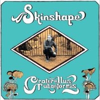 Skinshape - Craterellus Tubaeformis i gruppen VINYL / RnB-Soul hos Bengans Skivbutik AB (5506722)