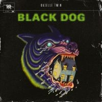 Gazelle Twin - Black Dog i gruppen VINYL / Pop-Rock hos Bengans Skivbutik AB (5506772)