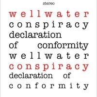 Wellwater Conspiracy - Declaration Of Conformity i gruppen VINYL / Pop-Rock hos Bengans Skivbutik AB (5506790)