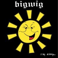 Bigwig - Stay Asleep i gruppen VINYL / Hårdrock hos Bengans Skivbutik AB (5507453)