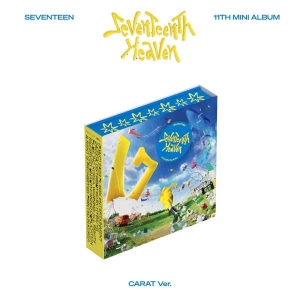 Seventeen - Seventeen 11Th Mini Album 'Seventee i gruppen CD / Pop-Rock hos Bengans Skivbutik AB (5507836)
