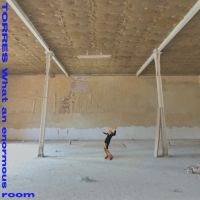 Torres - What An Enormous Room (Ltd Blue & W i gruppen VINYL / Pop-Rock hos Bengans Skivbutik AB (5507847)