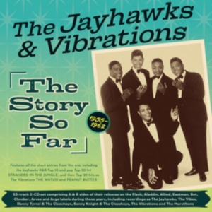 The Vibrations - The Jayhawks And Vibrations - The S i gruppen ÖVRIGT / Övrigt / aub hos Bengans Skivbutik AB (5507955)