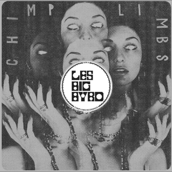 Les Big Byrd - Remixes, Rarieties & Unreleased i gruppen VINYL / Toppsäljare hos Bengans Skivbutik AB (5508369)