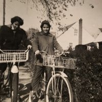 Orbiting Human Circus - Quartet Plus Two (Ltd Opaque Natura i gruppen VINYL / Pop-Rock hos Bengans Skivbutik AB (5508375)