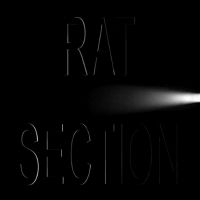 Rat Section - What Stays In Vegas i gruppen CD / Pop-Rock hos Bengans Skivbutik AB (5508563)