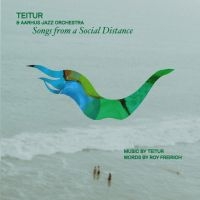 Teitur & Aarhus Jazz Orchestra - Songs From A Social Distance i gruppen VINYL / Jazz hos Bengans Skivbutik AB (5509291)