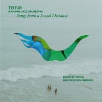 Teitur & Aarhus Jazz Orchestra - Songs From A Social Distance i gruppen VINYL / Toppsäljare hos Bengans Skivbutik AB (5509291)