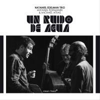 Nataniel Edelman Trio Feat. Michael - Un Ruido De Agua i gruppen CD / Jazz hos Bengans Skivbutik AB (5509395)