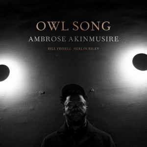 Ambrose Akinmusire - Owl Song i gruppen VINYL / Jazz hos Bengans Skivbutik AB (5509678)