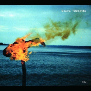 Tibbetts Steve - A Man About A Horse i gruppen CD / Jazz hos Bengans Skivbutik AB (5509840)