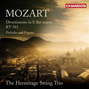 Mozart - Divertimento i gruppen CD / Klassiskt hos Bengans Skivbutik AB (5509847)