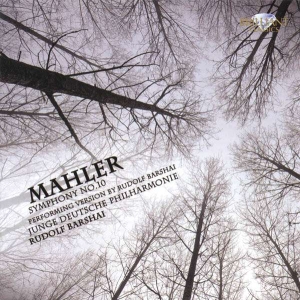 Mahler - Mahler: Symphony No. 10 i gruppen CD / Klassiskt hos Bengans Skivbutik AB (5509883)