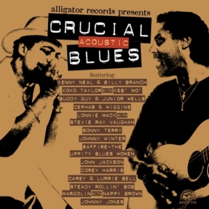 Blandade Artister - Crucial Acoustic Blues i gruppen ÖVRIGT / Övrigt / aub hos Bengans Skivbutik AB (550992)