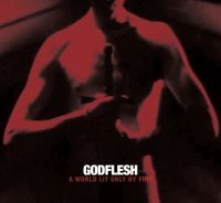 Godflesh - A World Only Lit By Fire (White Vin i gruppen VINYL / Pop-Rock hos Bengans Skivbutik AB (5510568)