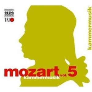 Mozart W A - Edition, Vol. 5 - Chamber Music i gruppen CD / Klassiskt hos Bengans Skivbutik AB (5510663)
