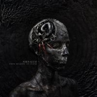 Nirnaeth - From Shadow To Flesh i gruppen CD / Hårdrock hos Bengans Skivbutik AB (5510733)