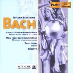 Bach - Kantaten i gruppen CD / Klassiskt hos Bengans Skivbutik AB (5511449)