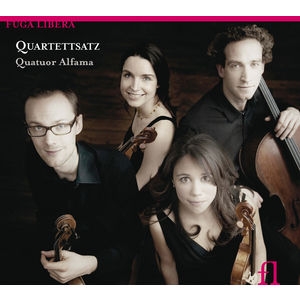 Various - Quartettsatz i gruppen CD / Klassiskt hos Bengans Skivbutik AB (5511510)