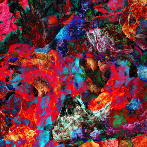 San Leo - Aves Raras i gruppen VINYL / Pop-Rock hos Bengans Skivbutik AB (5512132)