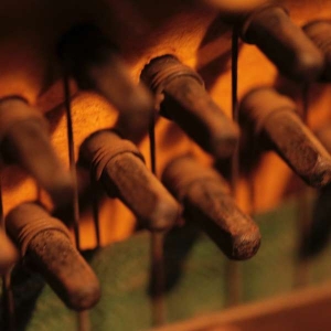 Omar Rodríguez-López - Solid State Mercenaries i gruppen VI TIPSAR / Fredagsreleaser / Fredag den 19e Jan 24 hos Bengans Skivbutik AB (5512568)