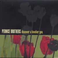 Pernice Brothers - Discover A Lovelier You i gruppen CD / Pop-Rock hos Bengans Skivbutik AB (5513332)
