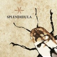 Splendidula - Splendidula i gruppen VI TIPSAR / Fredagsreleaser / Fredag den 8:e Mars 2024 hos Bengans Skivbutik AB (5513786)