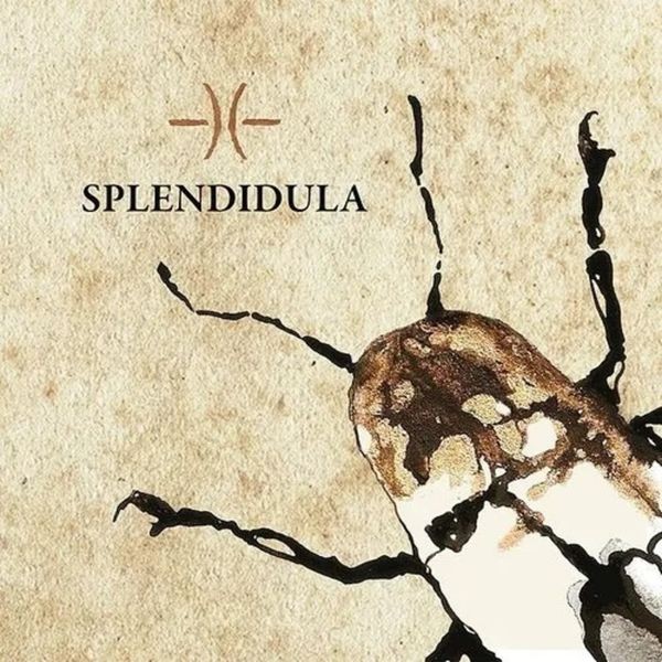 Splendidula - Splendidula i gruppen CD / Hårdrock hos Bengans Skivbutik AB (5513786)