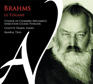 Choeur De Chambre Melismes - Brahms: Le Tzigane i gruppen CD hos Bengans Skivbutik AB (5513817)
