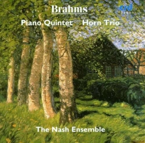 Brahms Johannes - Piano Quintet In F Minor Op.34 / Ho i gruppen MUSIK / CD-R / Klassiskt hos Bengans Skivbutik AB (5514254)